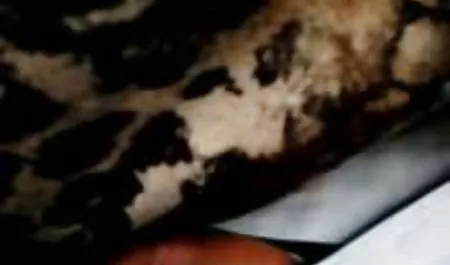 - کثیف, کون به قصه پورن دهن,