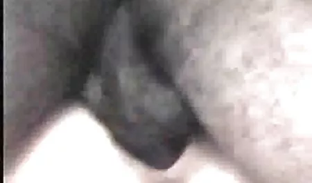 سکس کردن قصه پورن